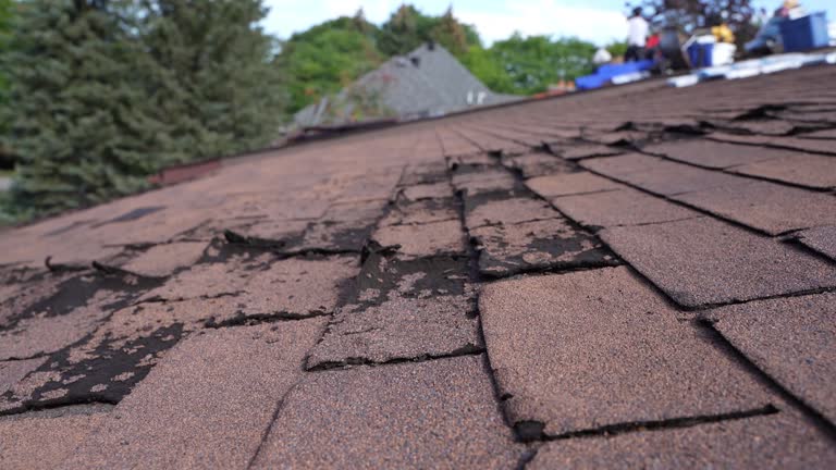 4 Ply Roofing in Turpin Hills, OH